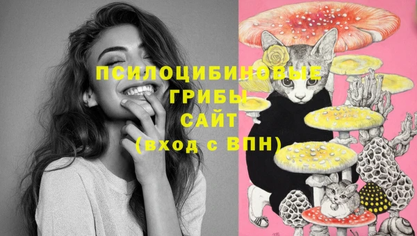 стафф Бородино