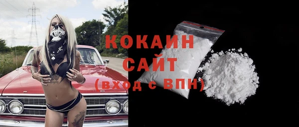 стафф Бородино