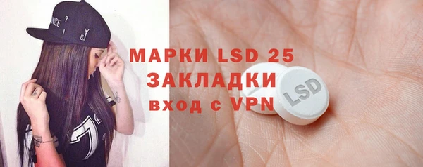 стафф Бородино