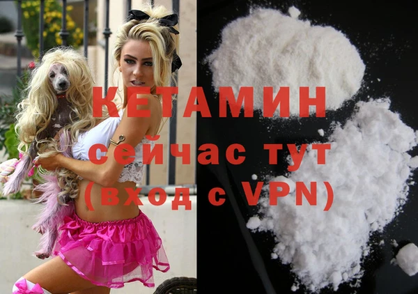 стафф Бородино