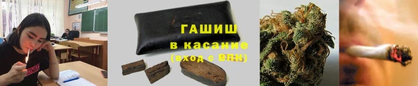 стафф Бородино