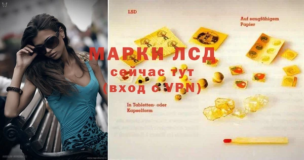 стафф Бородино